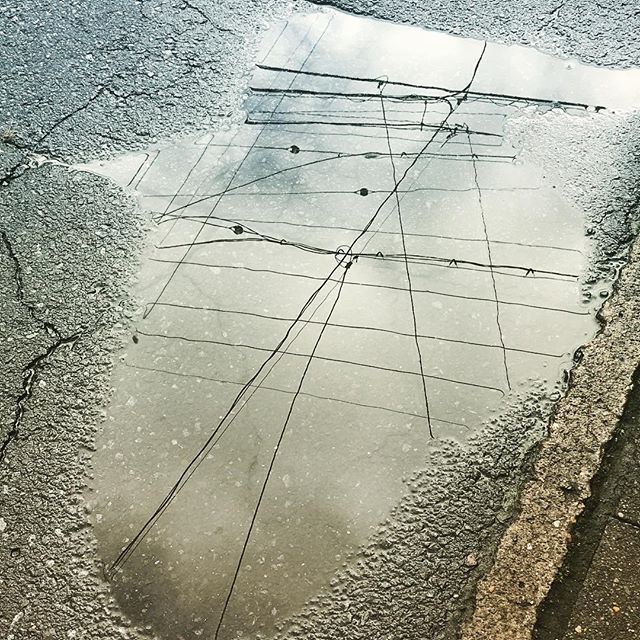 雨が上がり、大きな水たまりを覗き込む。今日は晴れるかな？ (Instagram)
